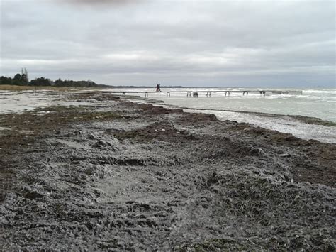 vejret i solrød strand|Vejret i Solrød strand i dag 